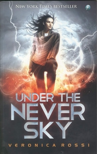 Image of UNDER THE NEVER SKY